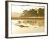 The Mist Rises over a Peaceful Dawn on the Marsh, Scarborough, Maine-Nance Trueworthy-Framed Photographic Print