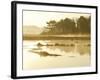 The Mist Rises over a Peaceful Dawn on the Marsh, Scarborough, Maine-Nance Trueworthy-Framed Photographic Print