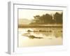 The Mist Rises over a Peaceful Dawn on the Marsh, Scarborough, Maine-Nance Trueworthy-Framed Photographic Print