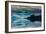 The misty mountains and calm waters of the Tongass National Forest, Southeast Alaska, USA-Mark A Johnson-Framed Photographic Print