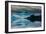 The misty mountains and calm waters of the Tongass National Forest, Southeast Alaska, USA-Mark A Johnson-Framed Photographic Print