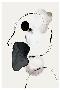 Laminate