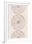 Gramercy White