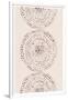 Gramercy White