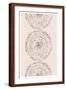 Brown Frame