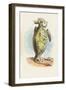 The Mock Turtle, 1930-John Tenniel-Framed Giclee Print