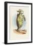 The Mock Turtle, 1930-John Tenniel-Framed Giclee Print