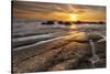 The Moeraki Boulders at sunrise, Moeraki Beach, Otago, South Island, New Zealand-Ed Rhodes-Stretched Canvas