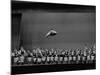 The Moiseyev Dancers, During a Performance at the Met. Opera House-Walter Sanders-Mounted Premium Photographic Print