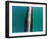 The Mole, Aramoana, at Entrance to Otago Harbour, Dunedin, South Island, New Zealand-David Wall-Framed Photographic Print