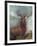 The Monarch of the Glen-William Widgery-Framed Premium Giclee Print