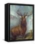 The Monarch of the Glen-William Widgery-Framed Stretched Canvas