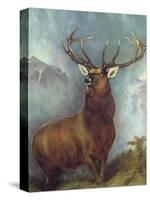 The Monarch of the Glen-William Widgery-Stretched Canvas