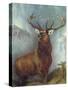 The Monarch of the Glen-William Widgery-Stretched Canvas