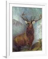 The Monarch of the Glen-William Widgery-Framed Giclee Print