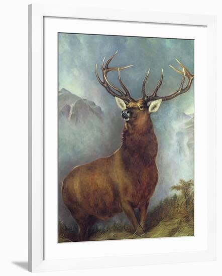 The Monarch of the Glen-William Widgery-Framed Giclee Print