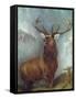 The Monarch of the Glen-William Widgery-Framed Stretched Canvas