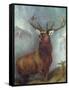 The Monarch of the Glen-William Widgery-Framed Stretched Canvas