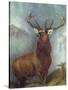 The Monarch of the Glen-William Widgery-Stretched Canvas