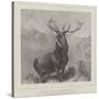 The Monarch of the Glen-Edwin Landseer-Stretched Canvas