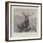 The Monarch of the Glen-Edwin Landseer-Framed Giclee Print