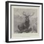 The Monarch of the Glen-Edwin Landseer-Framed Giclee Print