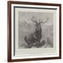 The Monarch of the Glen-Edwin Landseer-Framed Giclee Print