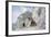 The Monastery of San Rocco, Olevano, 19th Century-null-Framed Giclee Print