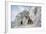 The Monastery of San Rocco, Olevano, 19th Century-null-Framed Giclee Print