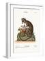 The Mongooz, 1749-73-George Edwards-Framed Giclee Print