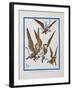 "The Monkeys Caught Dorothy in Theirs Arms and Flew Away With Her"-William Denslow-Framed Giclee Print