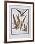 "The Monkeys Caught Dorothy in Theirs Arms and Flew Away With Her"-William Denslow-Framed Giclee Print