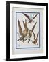 "The Monkeys Caught Dorothy in Theirs Arms and Flew Away With Her"-William Denslow-Framed Giclee Print