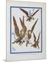 "The Monkeys Caught Dorothy in Theirs Arms and Flew Away With Her"-William Denslow-Mounted Premium Giclee Print