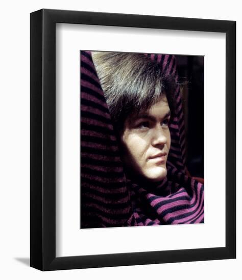 The Monkeys-null-Framed Photo