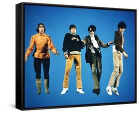 The Monkeys-null-Framed Stretched Canvas