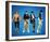 The Monkeys-null-Framed Photo