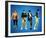 The Monkeys-null-Framed Photo