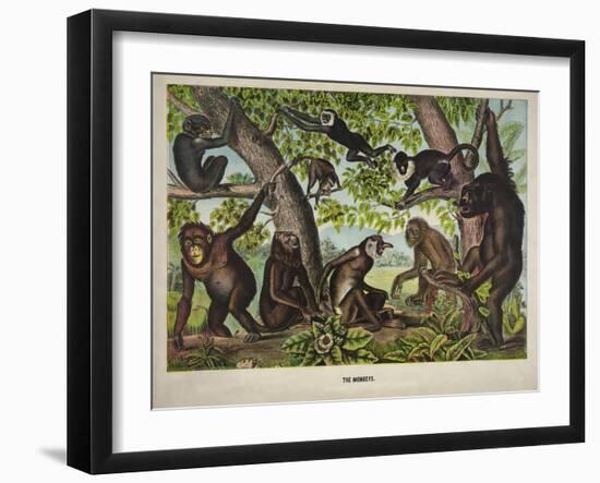 The Monkeys-null-Framed Giclee Print