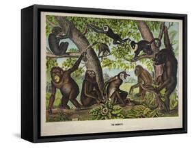 The Monkeys-null-Framed Stretched Canvas
