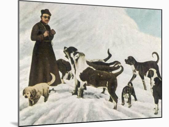 The Monks of Saint Bernard Together with Their Dogs Visit Tibet-null-Mounted Photographic Print