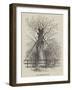 The Monmouth Ash-null-Framed Giclee Print