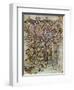 The Monogram Page, 800 Ad-null-Framed Giclee Print