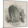 The Monster Cactus (Echinocactus Stainesh) at the Royal Gardens, Kew, London-null-Mounted Giclee Print