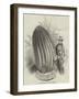 The Monster Cactus, Echinocactus Stainesii-null-Framed Giclee Print