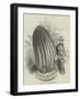 The Monster Cactus, Echinocactus Stainesii-null-Framed Giclee Print