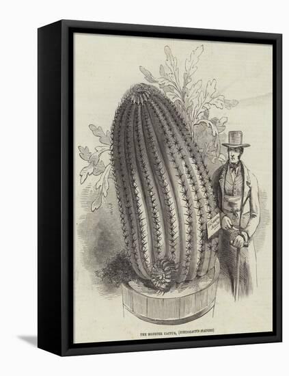 The Monster Cactus, Echinocactus Stainesii-null-Framed Stretched Canvas