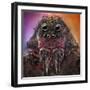 The Monster-Jorge Fardels-Framed Photographic Print