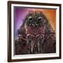 The Monster-Jorge Fardels-Framed Photographic Print