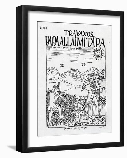 The Month of June, Harvesting the Potatoes (Woodcut)-Felipe Huaman Poma De Ayala-Framed Giclee Print